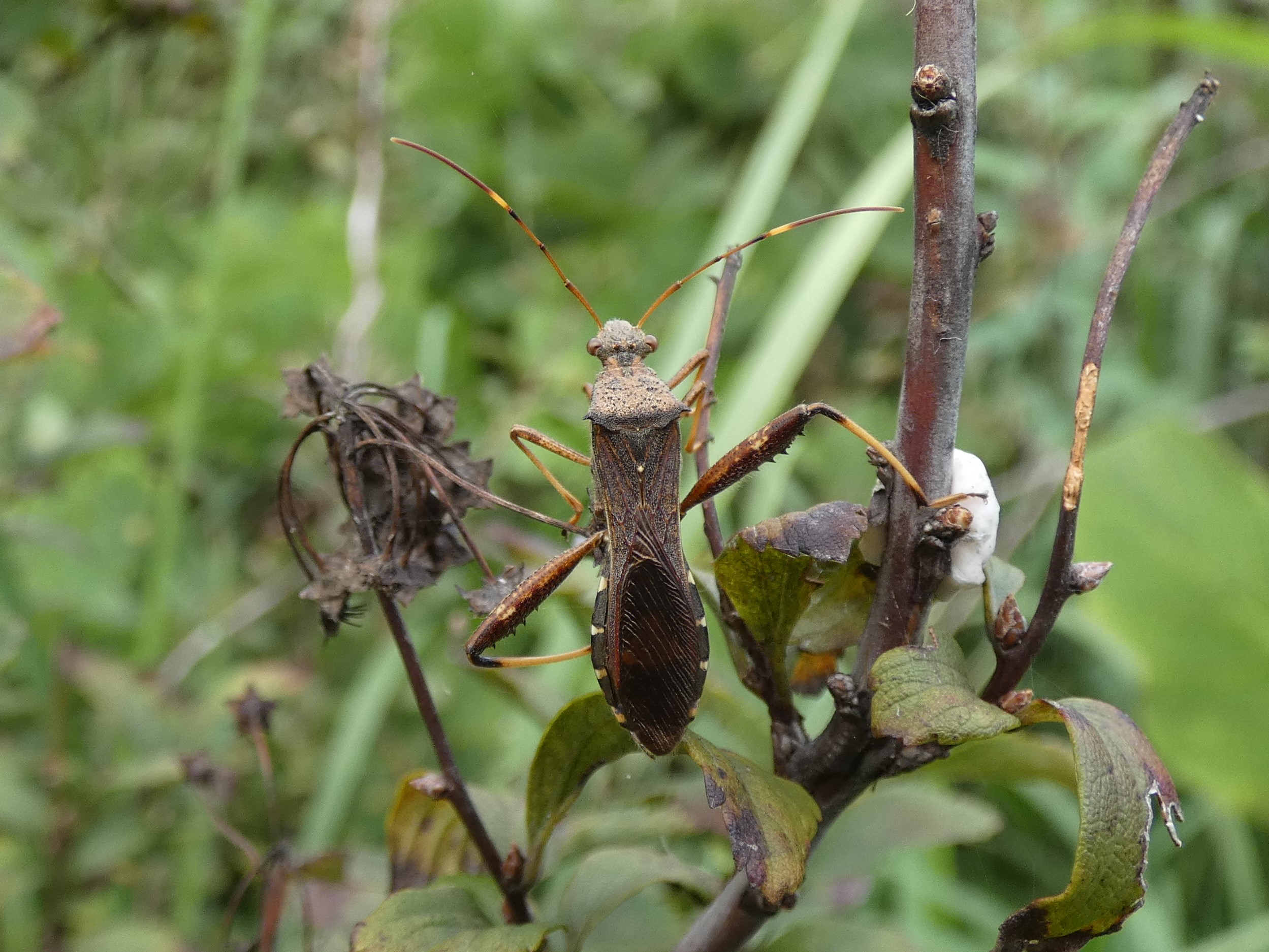 photo_6